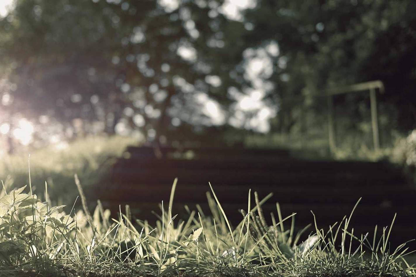 Architecto totam aliquid commodi